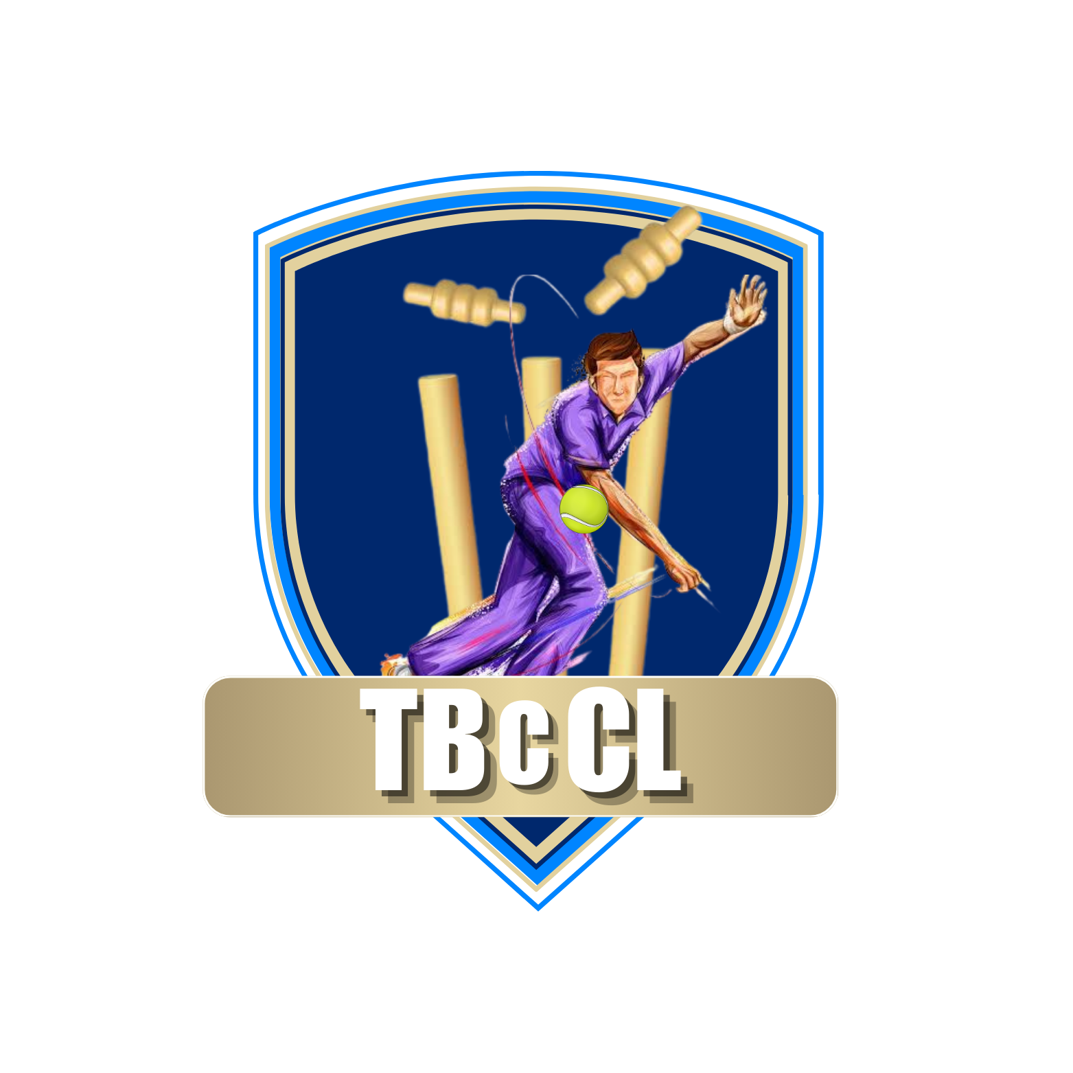 Cricket Tournament Pro